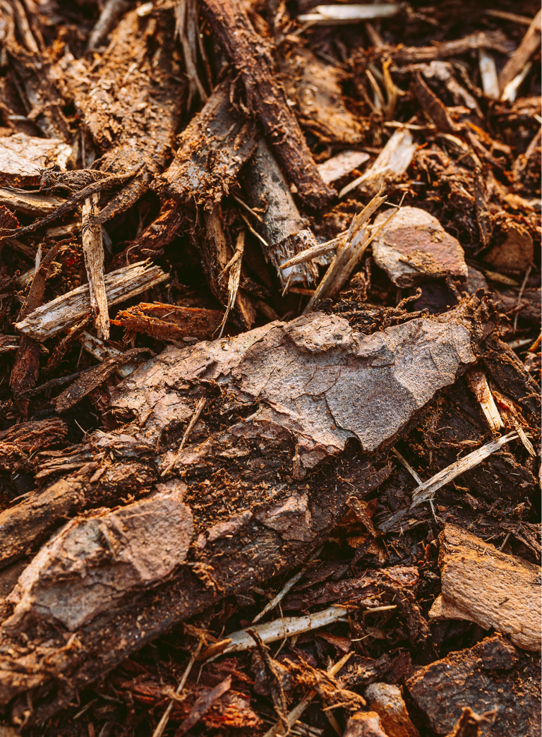 Mulch y corteza